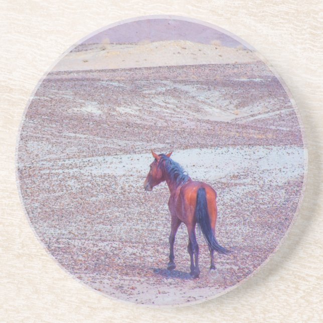 Desert Horse P8640 Coaster (Front)