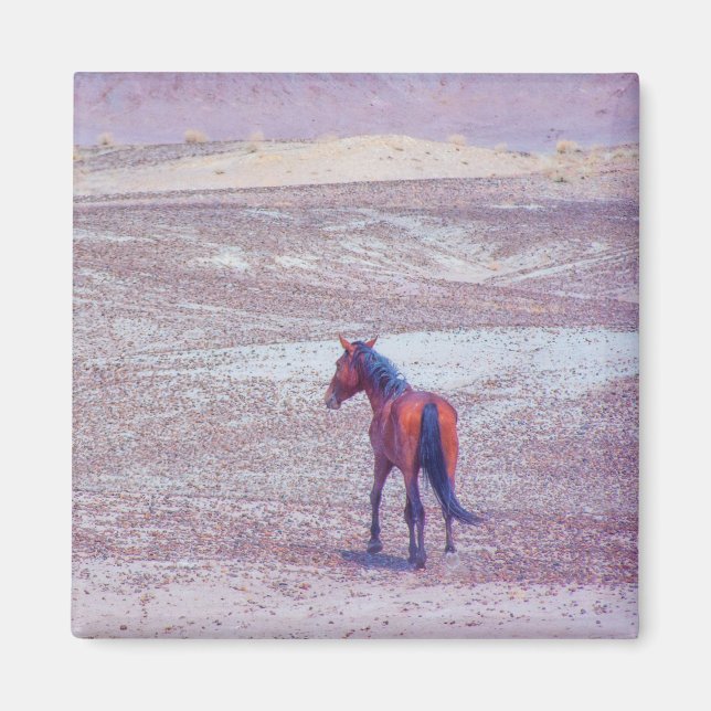 Desert Horse P8640 Magnet (Front)