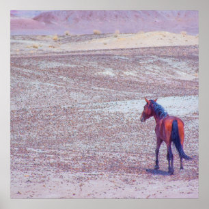 Desert Horse P8640 Poster