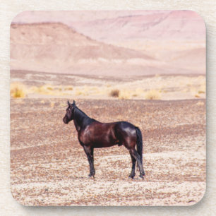 Desert Horse P8664 Coaster