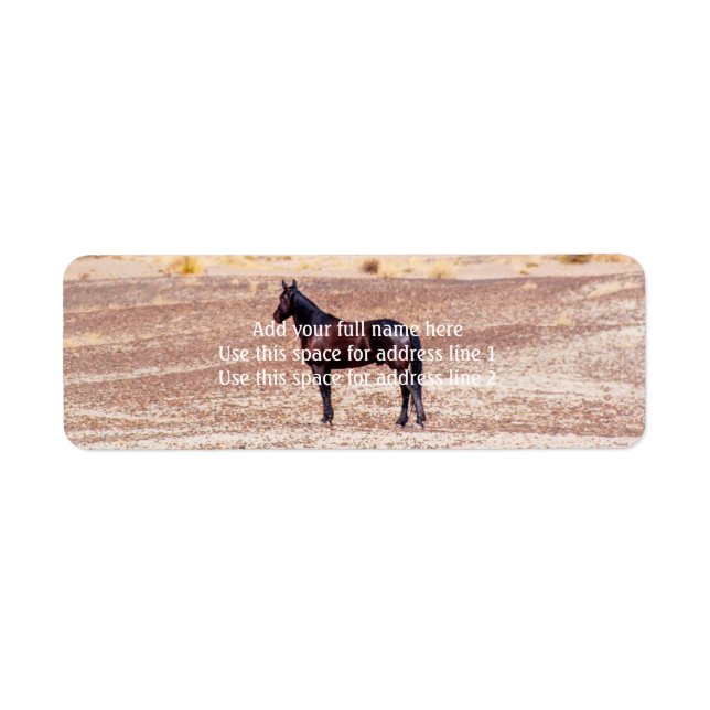 Desert Horse P8664 Return Address Label (Front)