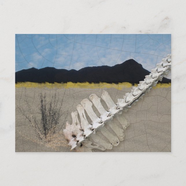 Desert Iconic in the manner of Georgia O'Keeffe. Postcard (Front)