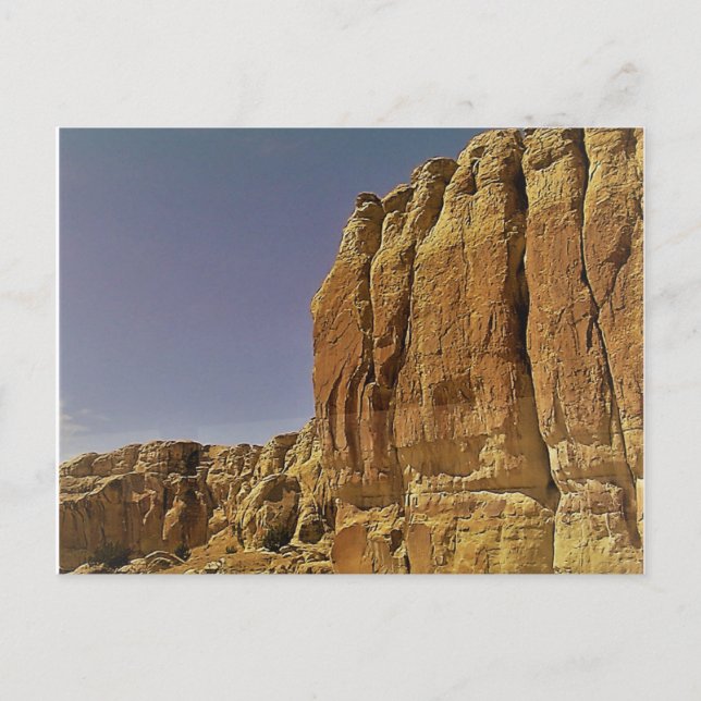 Desert in New Mexico Postcard (Front)