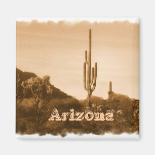 Desert in sepia ,Arizona Magnet