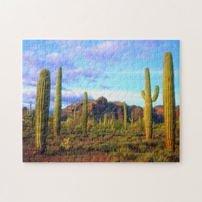 Desert in springtime jigsaw puzzle (Horizontal)