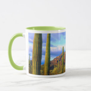 Desert in springtime mug
