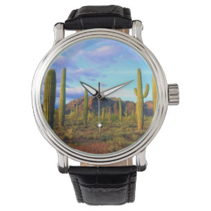Desert in springtime watch