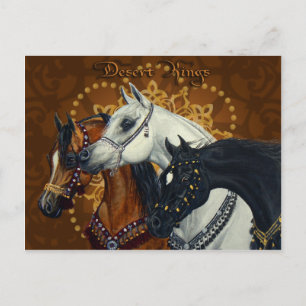 Desert Kings Arabian horses postcard