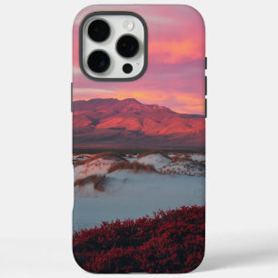 desert landscape iPhone 16 pro max case