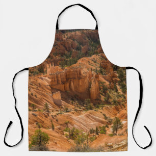 Desert landscape of Bryce Canyon National Park wit Apron