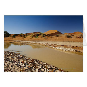 desert Landscape of Namib at Sossusvlei filled