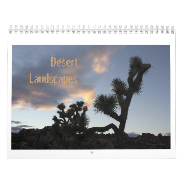 Desert Landscapes Calendar (Cover)