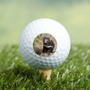 Desert Light – Tasmanian Devil Golf Balls