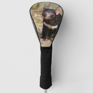 Desert Light – Tasmanian Devil Golf Head Cover