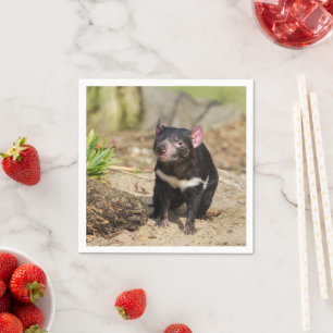 Desert Light – Tasmanian Devil Napkin