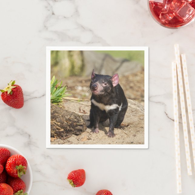 Desert Light – Tasmanian Devil Napkin (Insitu)