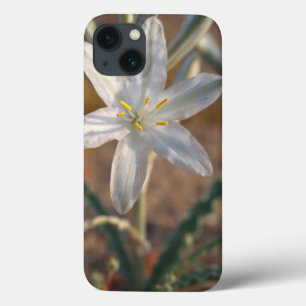 Desert Lily Wildflowers iPhone 13 Case