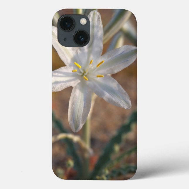 Desert Lily Wildflowers Case-Mate iPhone Case (Back)
