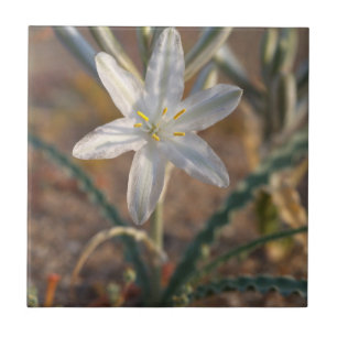 Desert Lily Wildflowers Ceramic Tile