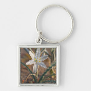 Desert Lily Wildflowers Key Ring