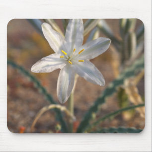 Desert Lily Wildflowers Mouse Pad