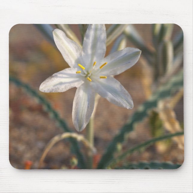 Desert Lily Wildflowers Mouse Pad (Front)