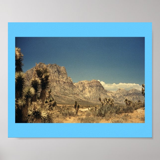 Desert Magic Poster (Front)