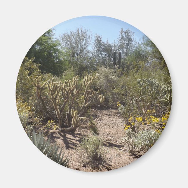 Desert Magnet (Front)