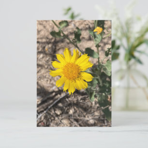 Desert Marigold Thank You Card