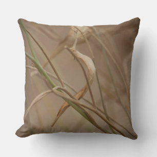Desert Milkweed Pods Cushion