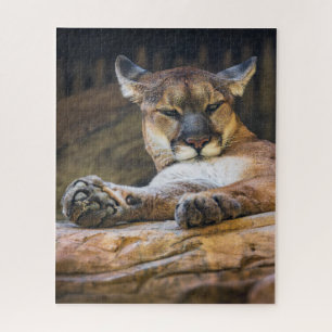 Desert Monarch: The Resting Cougar Jigsaw Puzzle