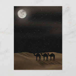 Desert Moon Postcard