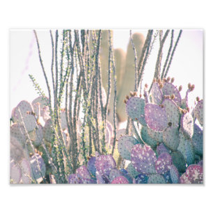 Desert Morning   Photo Print