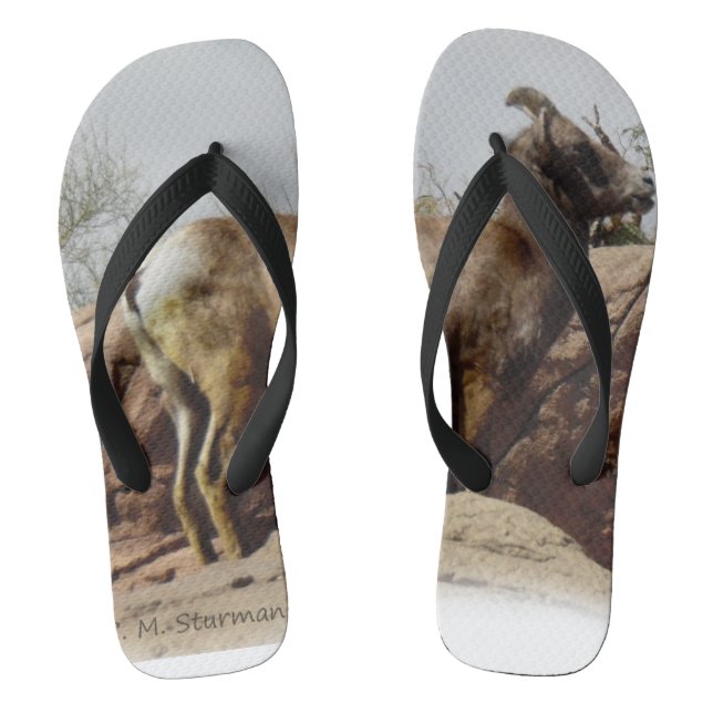 Desert Mountain Goat Thongs (Footbed)