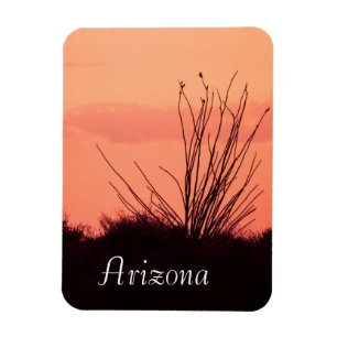 desert nights in Arizona Magnet