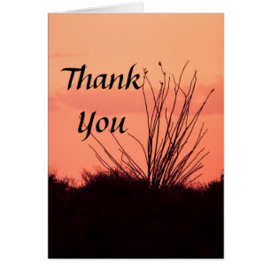 Desert Nights Thank you