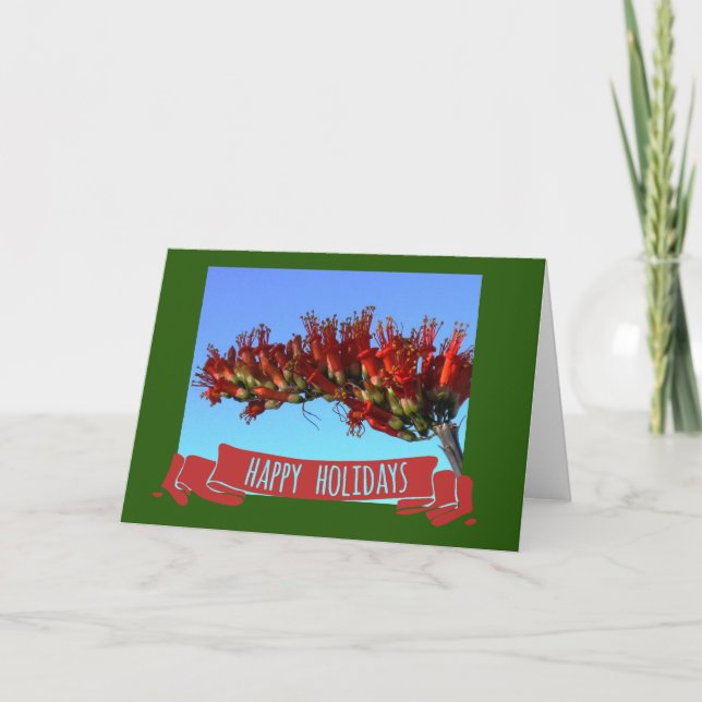 Desert Ocotillo Bloom Holiday Card (Front)