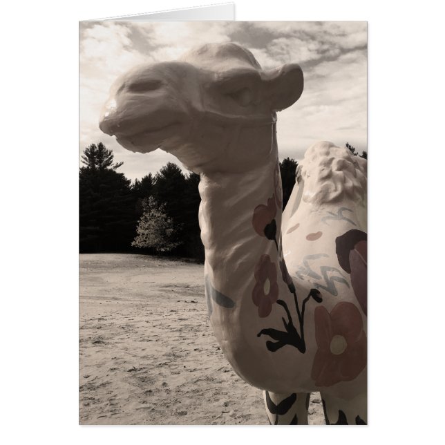 desert of maine (Front)