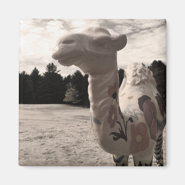 desert of maine magnet (Front)