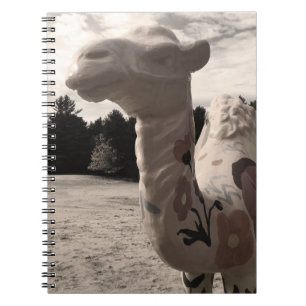 desert of maine notebook
