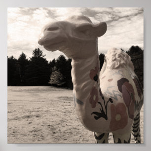 desert of maine poster