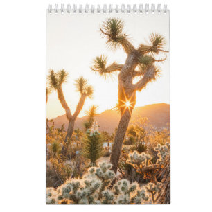 Desert Photo Gift with Cactus Calendar