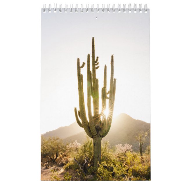 Desert Photo Gift with Cactus  Calendar (Cover)