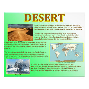 Desert Photo Print