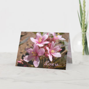 Desert Pink: Love is - Greeting Card