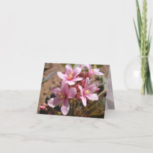 Desert Pink - Note Card