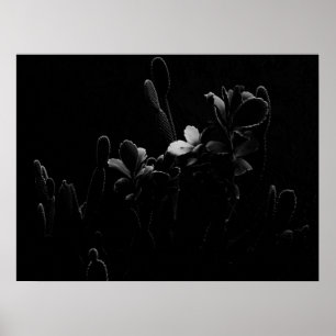 Desert Plants in Black and White Poster