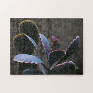 Desert Plants Jigsaw Puzzle