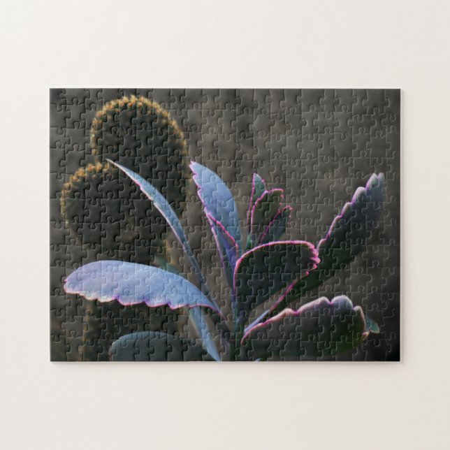 Desert Plants Jigsaw Puzzle (Horizontal)