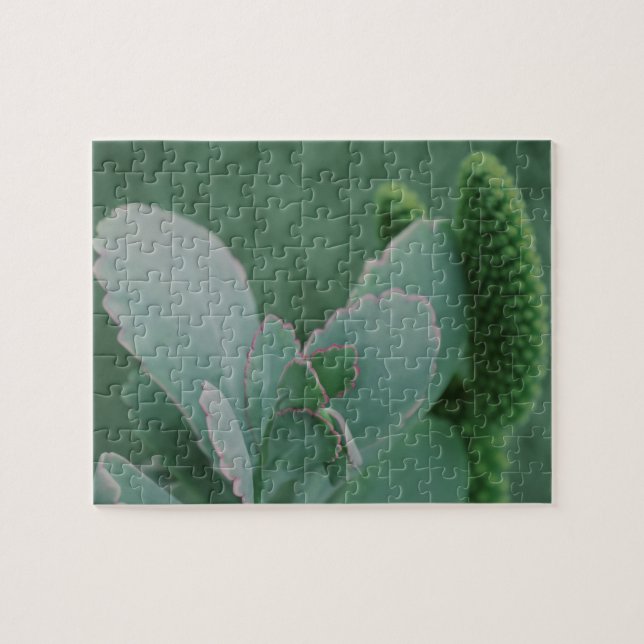 Desert Plants Jigsaw Puzzle (Horizontal)